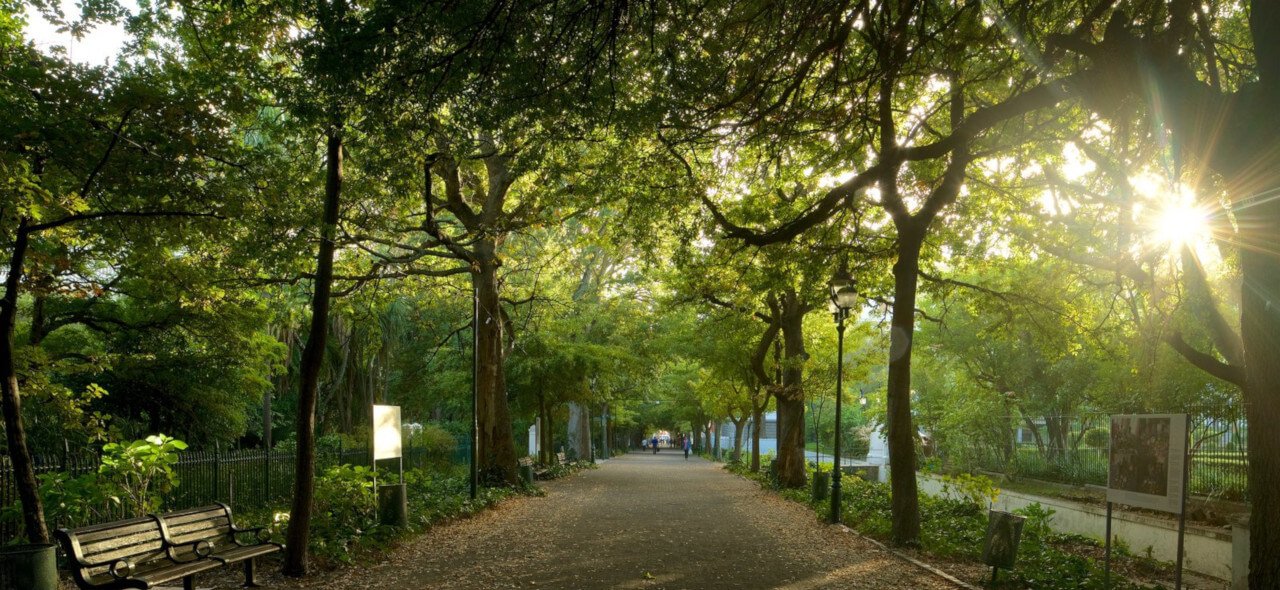 Comapny-Gardens-1