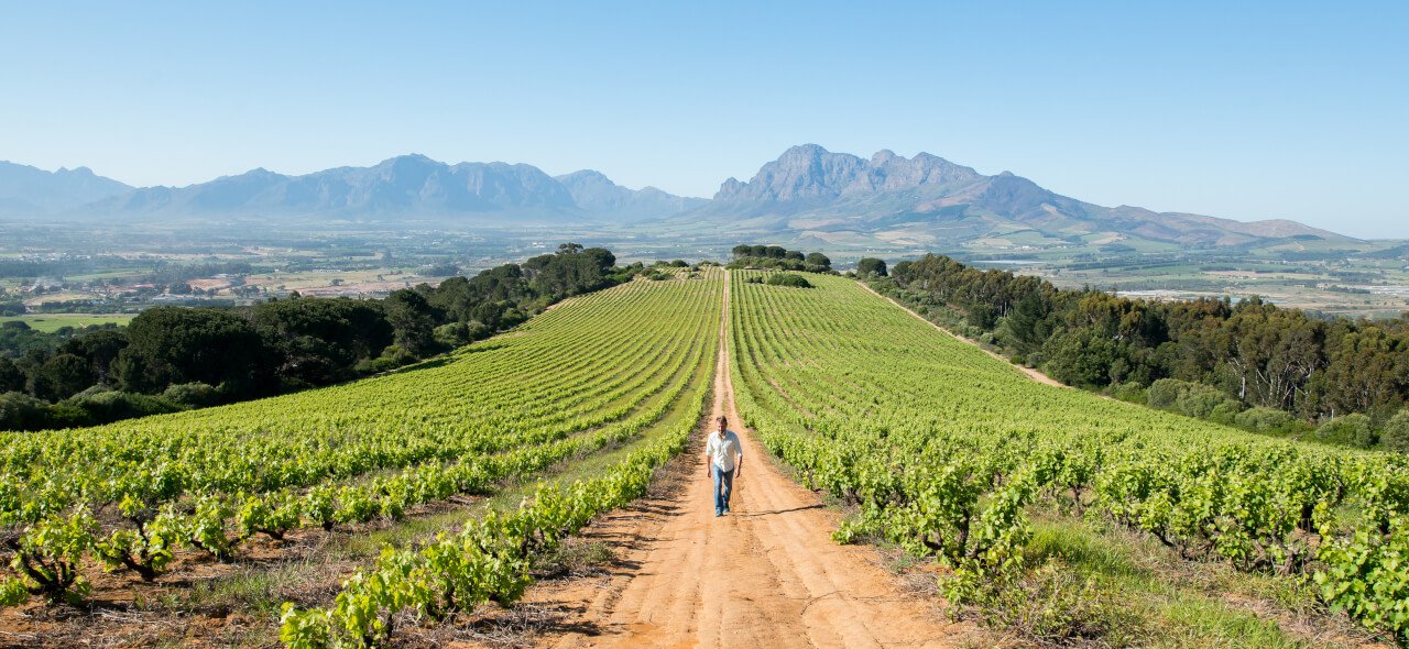 Winelands-Fairview-1
