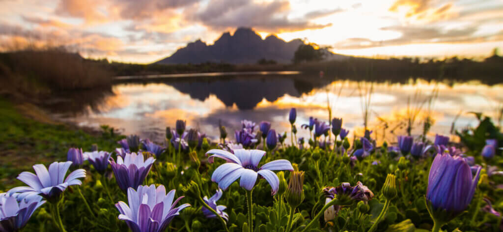 Winelands Franschhoek 1